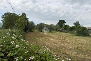 TER. AGRICOLO A SAN CESAREO