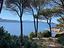 Immagine 8