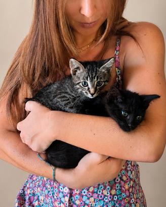 2 gattini di 1 mese - Ancona e dintorni