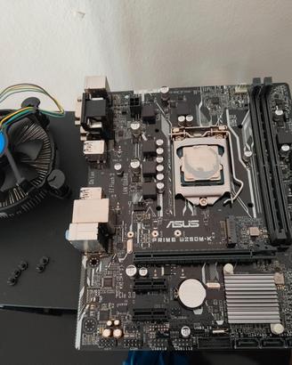 Scheda Madre ASUS Prime B250M-K + CPU Intel i3