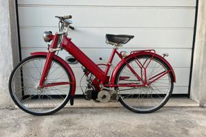 Motociclo gloria Pulcino 48cc