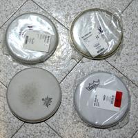 Pelli Remo 8"