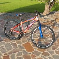 bicicletta 26'