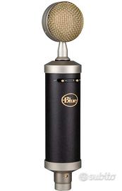 Microfono professionale 