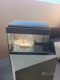 Acquario chiuso con luce