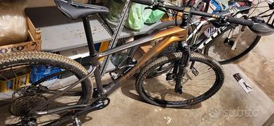 Mountain bike