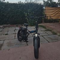 bici elettrica wd99 250 w
