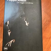 Filippo Alison. Un viaggio tra le forme
