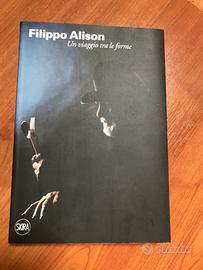 Filippo Alison. Un viaggio tra le forme