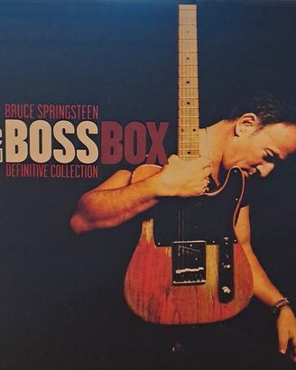 bruce springsteen 