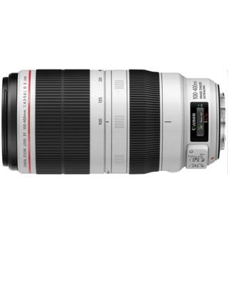 Canon 100/400 mark II