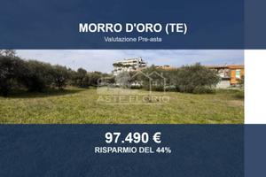 Immobile in asta di 3883 m² a Morro d'Oro
