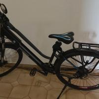 bici elettrica 