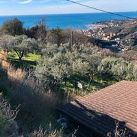 Terreno agricolo da coltivare a Varazze