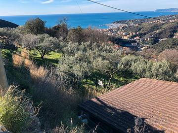 Terreno agricolo da coltivare a Varazze