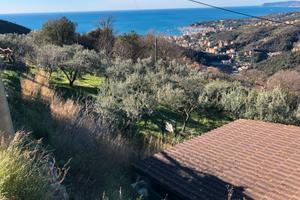 Terreno agricolo da coltivare a Varazze