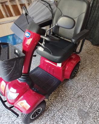 4 ruote elettrico disabili
