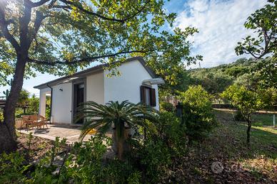 Casa Vacanze nel Cilento (2 o 3 persone)