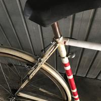 Atala sprint