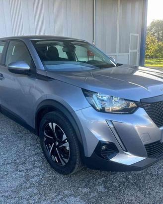PEUGEOT 2008 BlueHDi 110 S&S Active