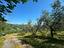Immagine 24