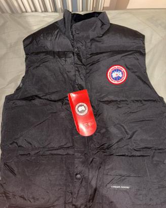 Canada goose smanicato
