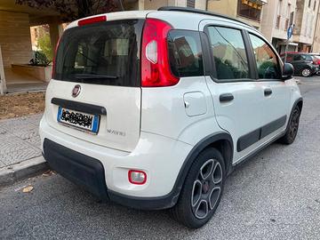 Panda Hybrid