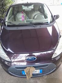 FORD Ka vedesi