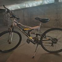 mtb Vicini biammortizzata