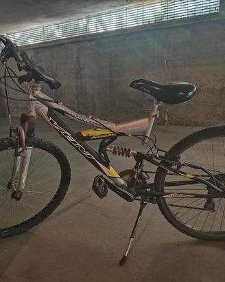 mtb Vicini biammortizzata