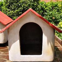 Cuccia in cemento