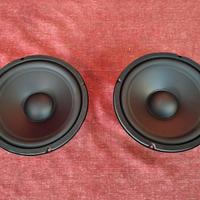 Coppia Woofer Ciare Hw 203 da 180W