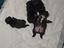 Immagine 1