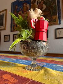 Terrario vintage piante