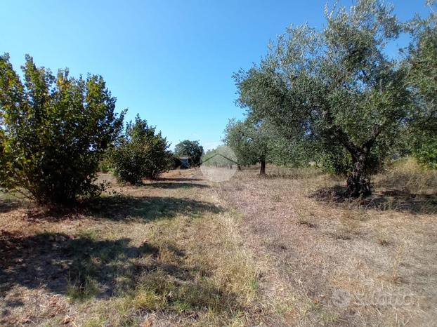 TER. AGRICOLO A CASTEL SANT'ELIA