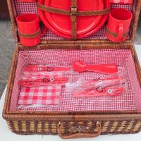 Set completo picnic in vimini