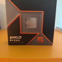 amd ryzen 5 9600X