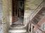 Immagine 12