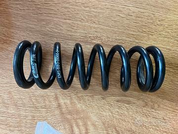 Molla mono ammortizzatore wp