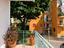 Immagine 23