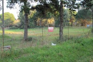Terreno di 3500 m² a Cellole
