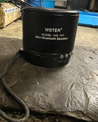Cassa bluethooth WSTER WS-767