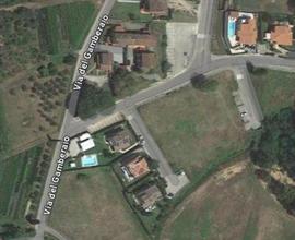 Terreno Agricolo Buggiano [Cod. rif 3129963VRG]