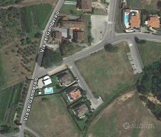 Terreno Agricolo Buggiano [Cod. rif 3129963VRG]