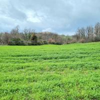 Terreni agricoli di 9000 mq
