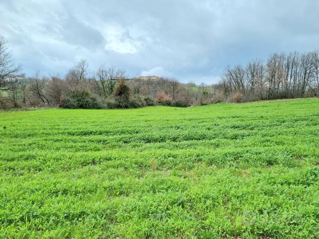 Terreni agricoli di 9000 mq