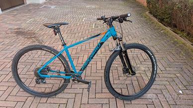 MTB monocorona Megamo