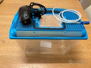 Vaschetta pesci rossi con aereatore