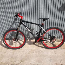Biciclette + cammellino