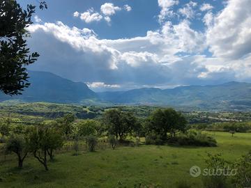 Ampia Tenuta Agricola in Abruzzo